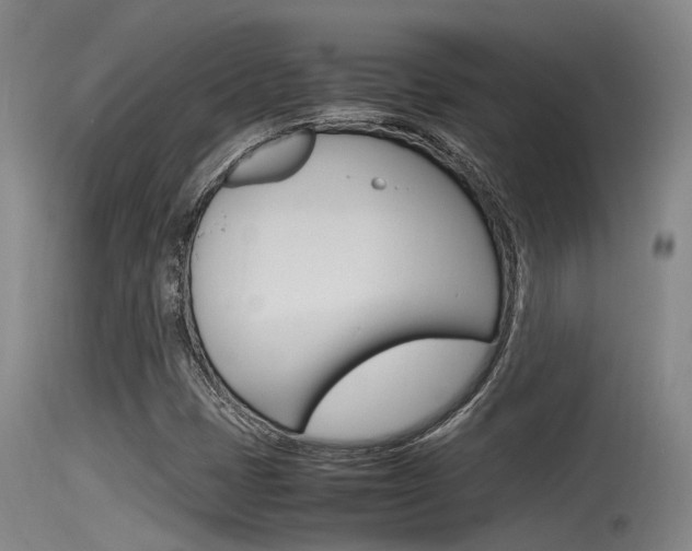 X0000115761401200911130949