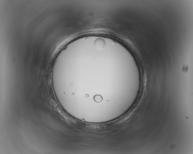 X0000115761405200911130949
