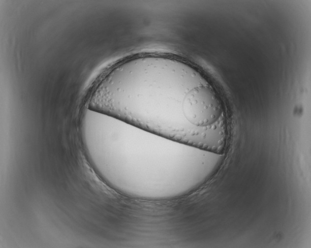 X0000115761408200911130949