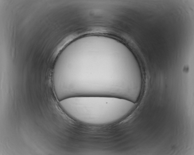 X0000115761409200911130949