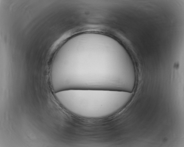 X0000115761411200911130949