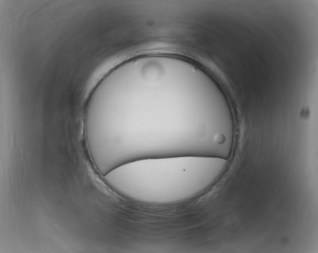X0000115761413200911130949