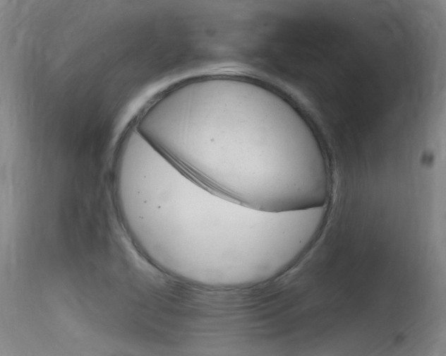X0000115761414200911130949