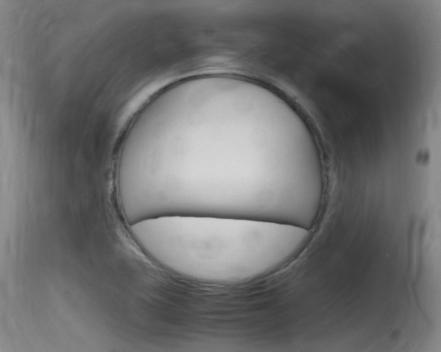 X0000115761415200911130949
