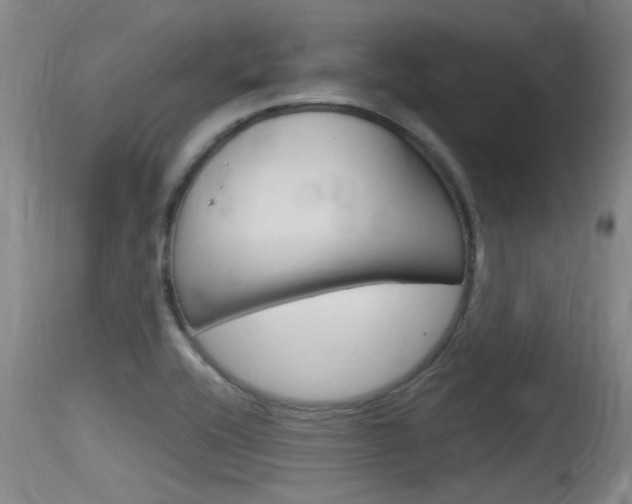 X0000115761416200911130949