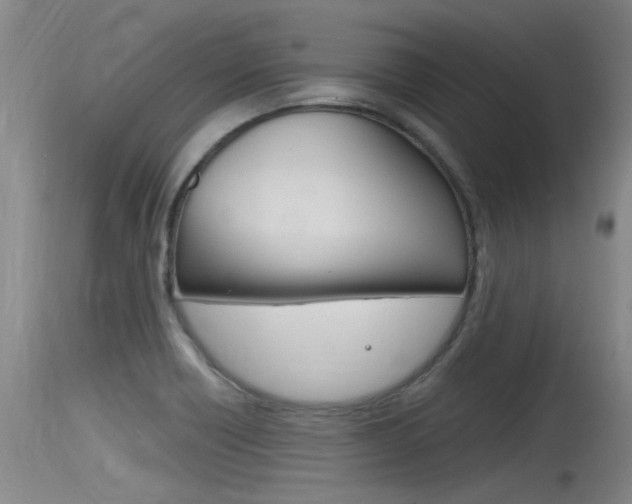 X0000115761418200911130949