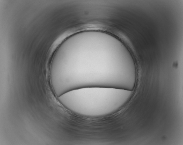 X0000115761419200911130949