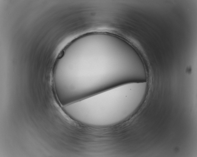 X0000115761420200911130949