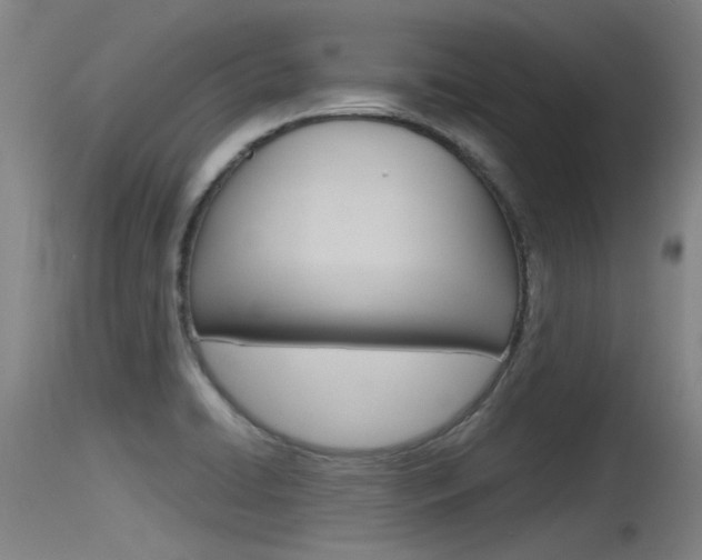 X0000115761422200911130949