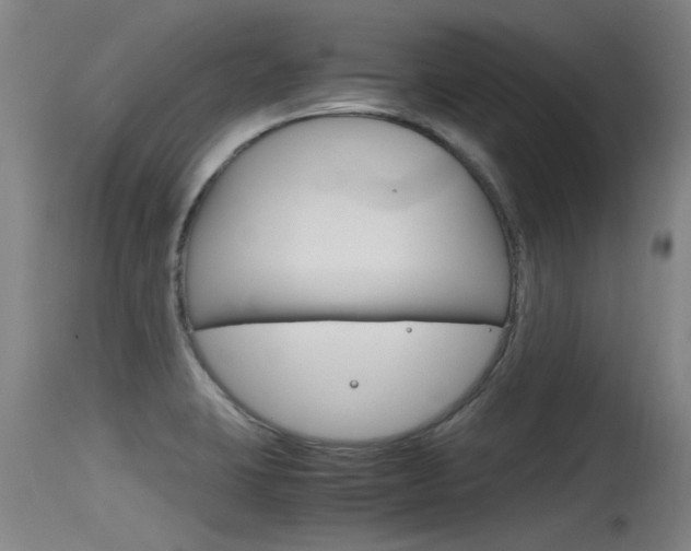 X0000115761423200911130949