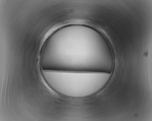 X0000115761424200911130949
