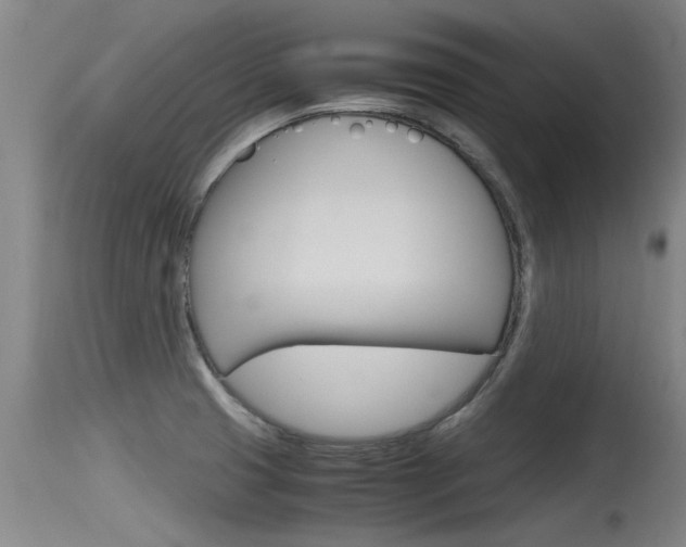 X0000115761425200911130949
