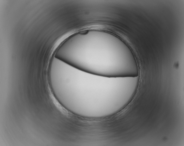 X0000115761426200911130949