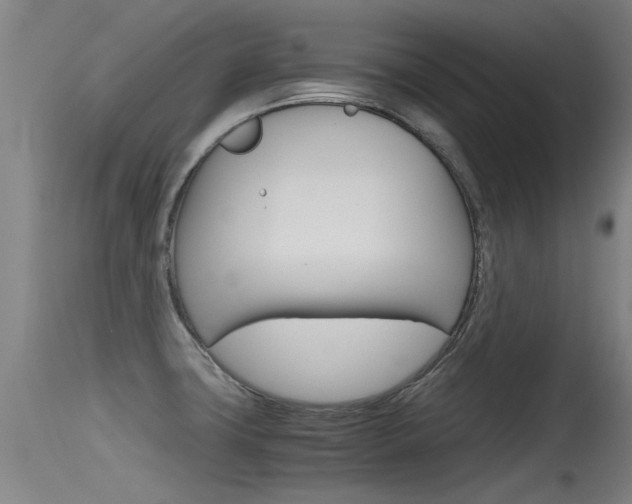 X0000115761427200911130949