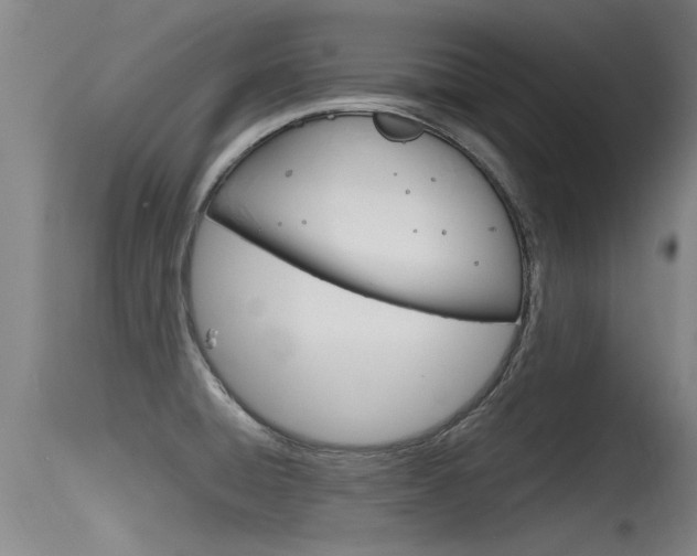 X0000115761428200911130949