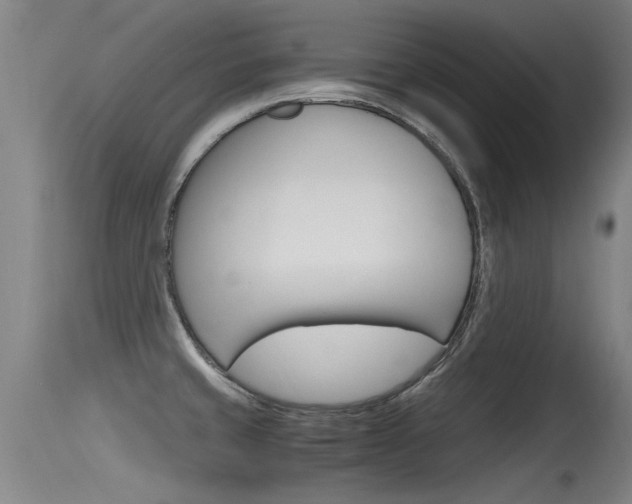 X0000115761429200911130949