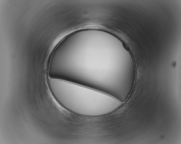 X0000115761430200911130949