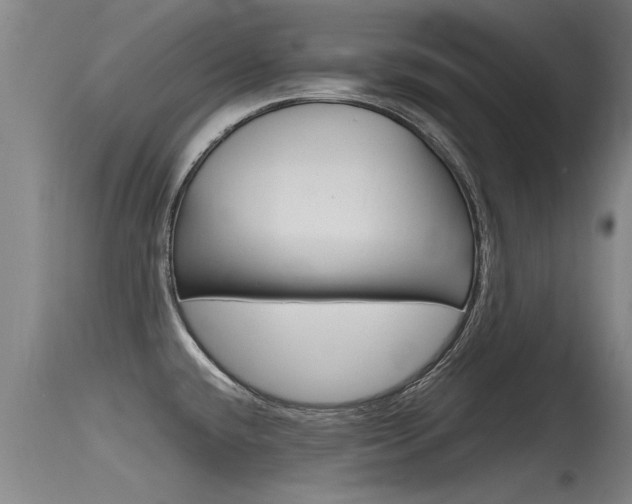 X0000115761432200911130950
