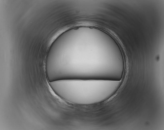 X0000115761433200911130950