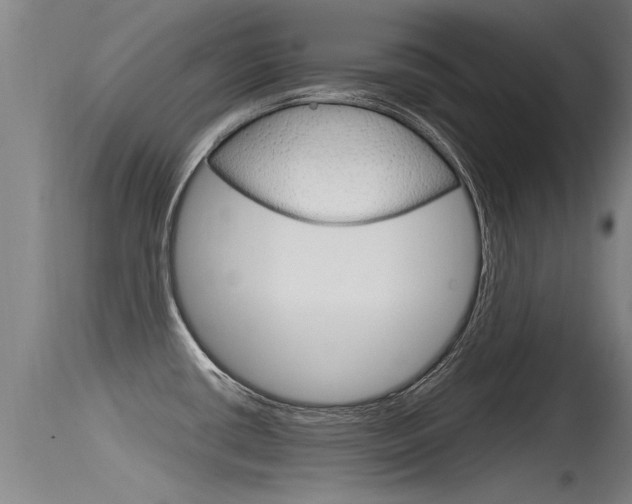 X0000115761434200911130950