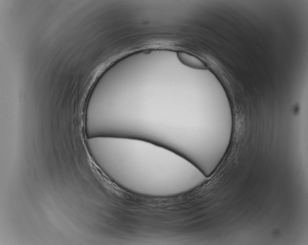 X0000115761435200911130950
