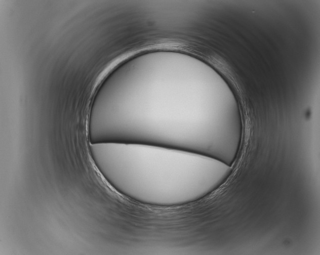 X0000115761436200911130950