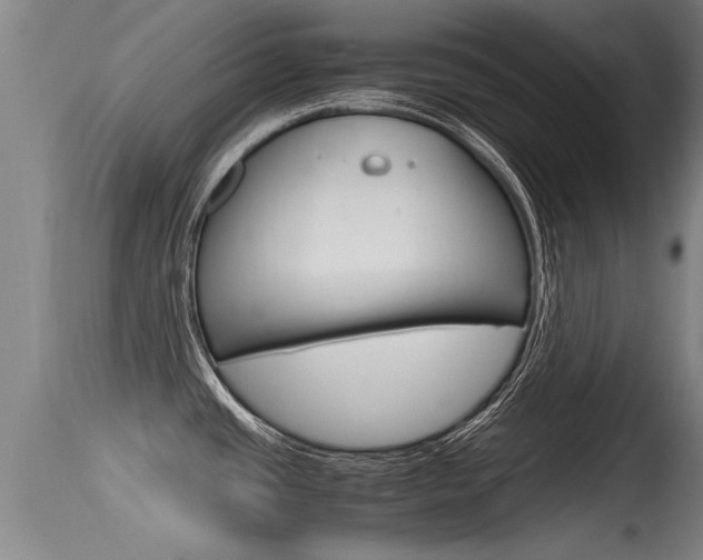 X0000115761437200911130950