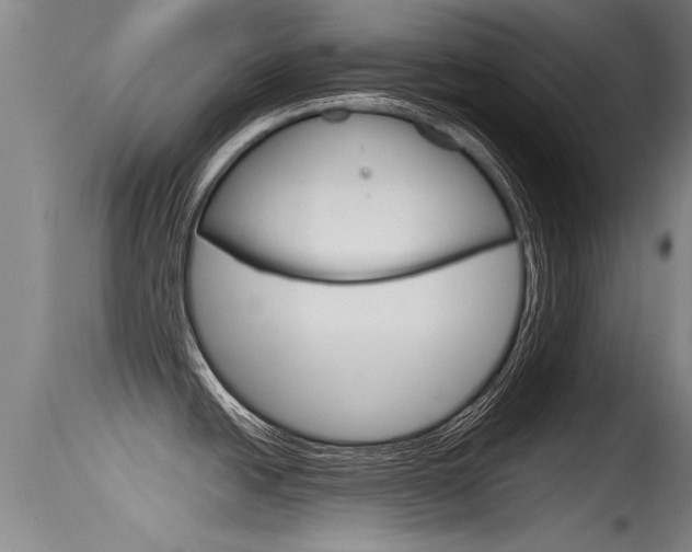 X0000115761438200911130950