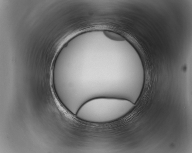 X0000115761439200911130950