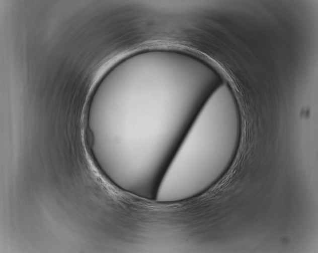 X0000115761440200911130950