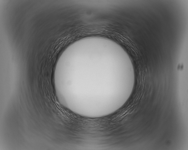 X0000115761441200911130949