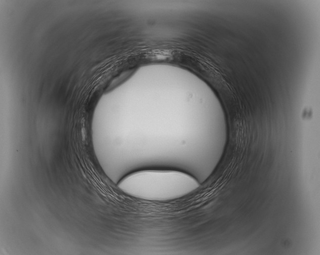 X0000115761442200911130949