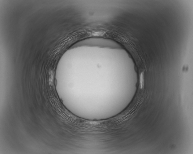 X0000115761443200911130949