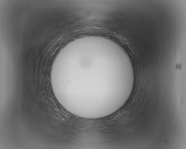 X0000115761445200911130949