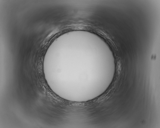 X0000115761446200911130949
