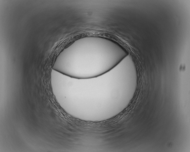 X0000115761447200911130949