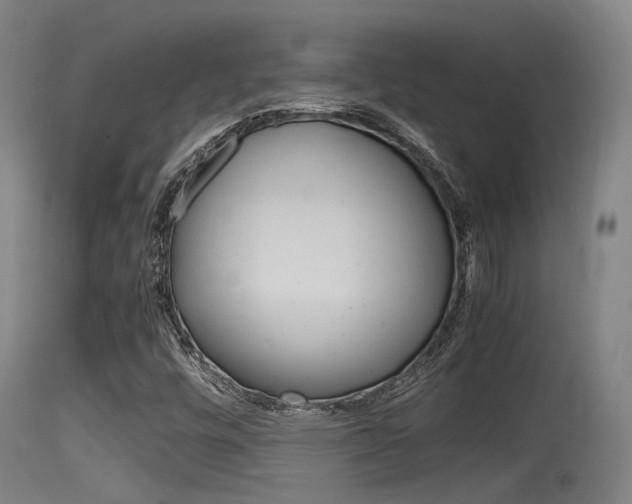 X0000115761448200911130949