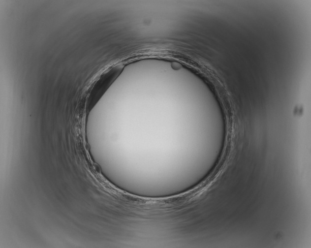 X0000115761449200911130949