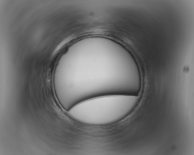 X0000115761450200911130949