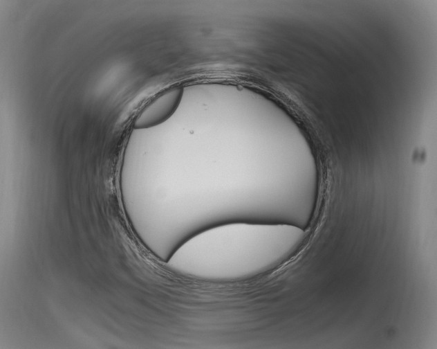 X0000115761451200911130949