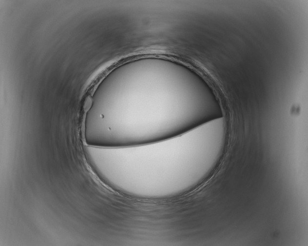 X0000115761452200911130949