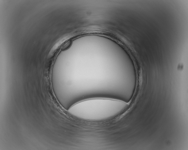 X0000115761453200911130949