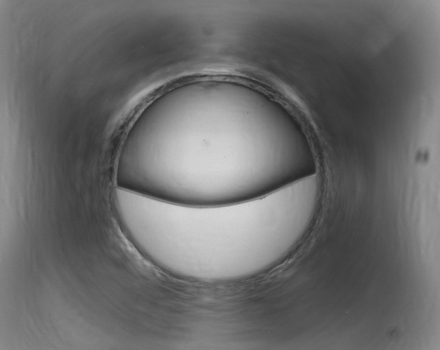 X0000115761456200911130949