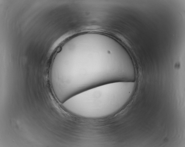 X0000115761458200911130949