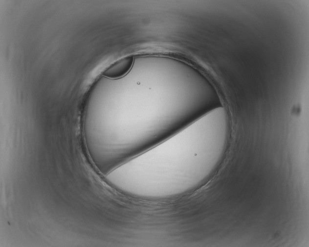 X0000115761459200911130949