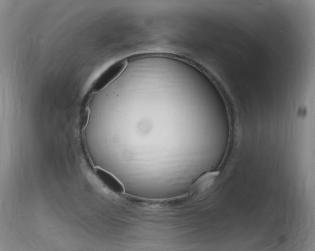 X0000115761460200911130949