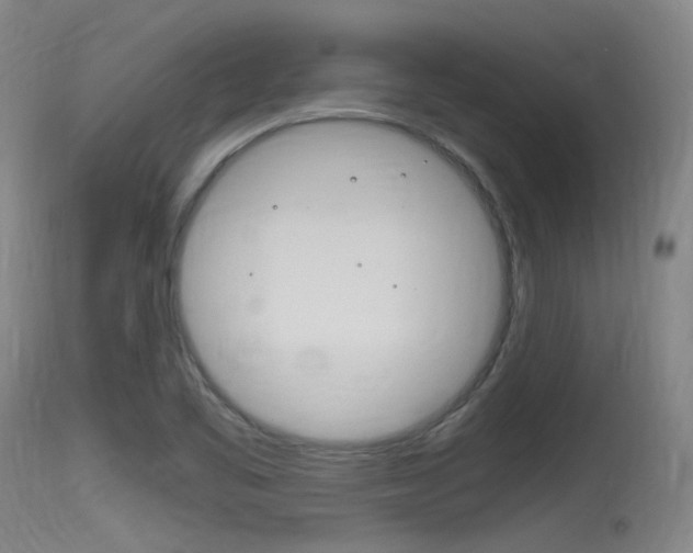 X0000115761461200911130949