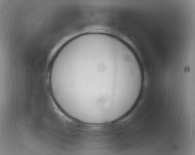 X0000115761462200911130949