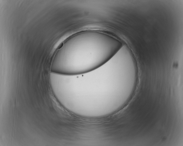X0000115761465200911130948