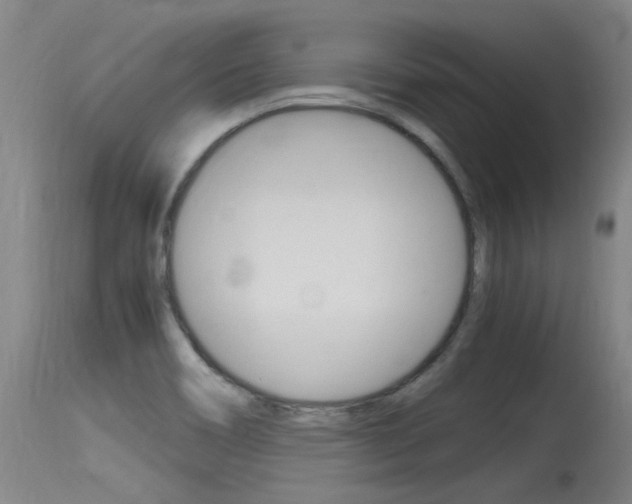 X0000115761466200911130948